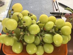 -马陆小张葡萄园农家乐