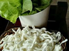 -百岁鱼(七一路店)