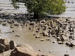-深圳湾公园(南山区)
