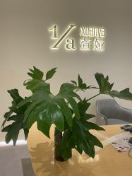 -萱娅美颜美体中心