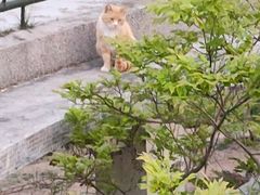 -贮水山儿童公园