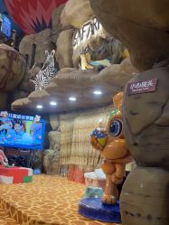 -卡通尼·Safari非洲探索乐园·生日会(金桥国际商业广场店)