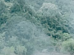 -仙海旅游度假区