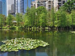 -荔枝公园(福田区)