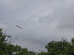 -茅家埠