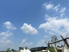 -空港花田景区