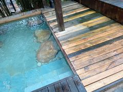 -崇阳三特浪口温泉