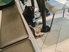 -麦当劳(塔园路店)