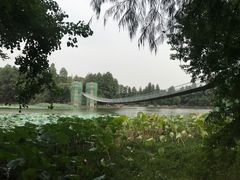 -东湖落雁景区