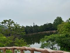 -嵖岈山风景区
