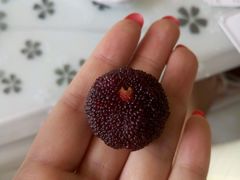 杨梅-家家悦(齐鲁商城店)