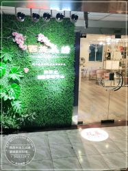 -西施无菌半永久纹绣眉眼影唇轻增发纹发际线