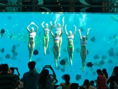 -瑞德姆美人鱼海底演艺主题餐厅(亚龙湾店)