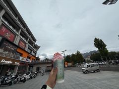-雾与山茶(大禹城店)