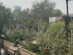 -元大都城垣遗址公园