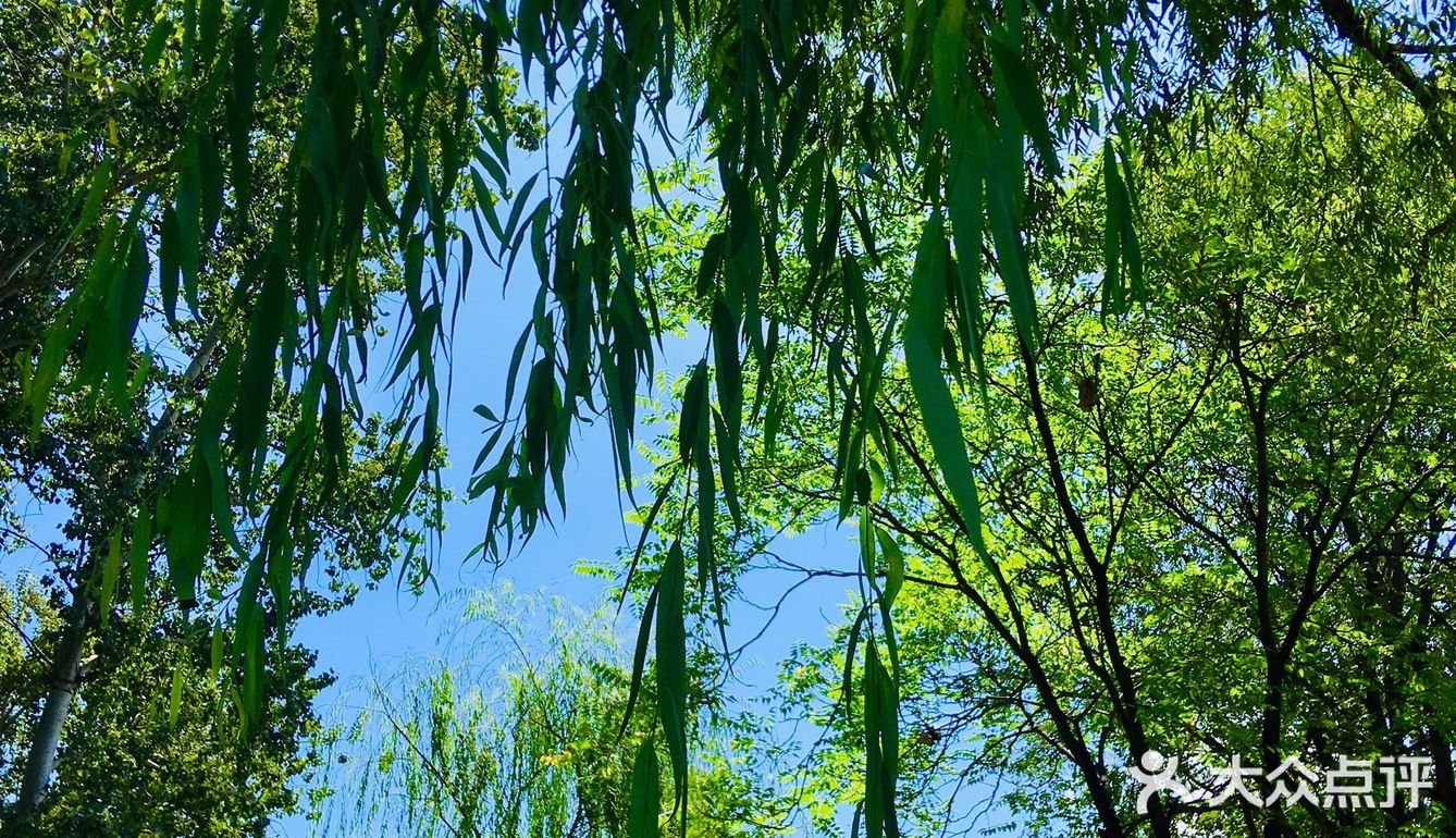 31-20摄氏度，吹着风温度还超级舒服