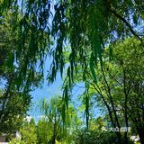 31-20摄氏度，吹着风温度还超级舒服