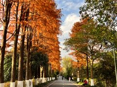 -西溪国家湿地公园