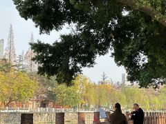 -成都市活水公园