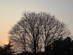 -月湖风景区