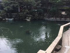 -兴福禅寺
