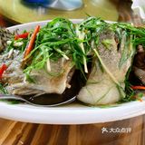 水库鱼！走地鸡！农家菜吃起～