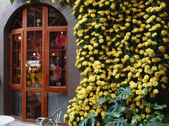 -月亮眼花园餐厅书吧酒吧