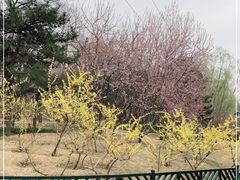 -元大都城垣遗址公园