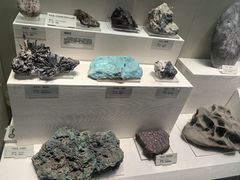 -天津自然博物馆
