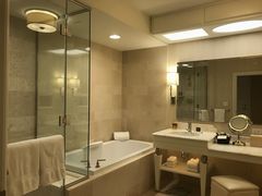 -拉斯维加斯永利酒店