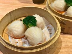 招牌虾饺皇-南枝记
