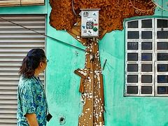 -槟城街头艺术街区