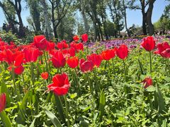 -北京植物园南门售票处