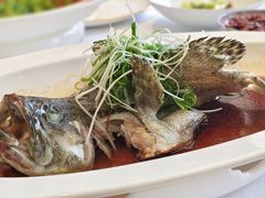 石斑鱼-顺峰(农展馆店)