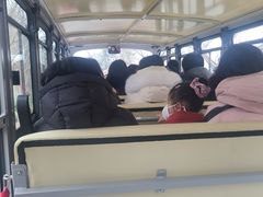 -盐城丹顶鹤湿地生态旅游区