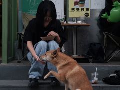 -大青树咖啡(大理古城店)