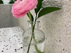-大树餐厅(朝阳大悦城店)