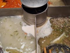 酸菜白肉锅尝新餐-海底捞火锅(公益西桥店)