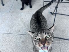 -转山咖啡(松柏社区店)