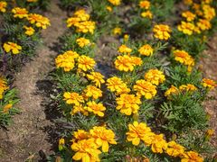 -长春公园(普阳街道)