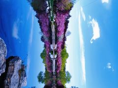 -石家庄市植物园