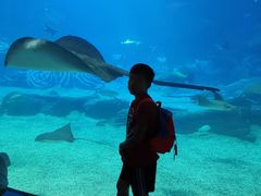 -长隆海洋王国-海洋大街餐厅