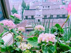 -CoCo都可(虹口龙之梦店)