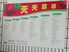 -青浦采草莓天天草莓园