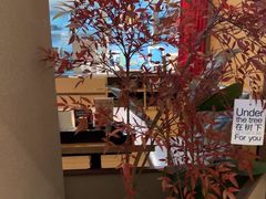 -沼津港精致料理·寿喜烧·烧鸟(漕河泾印象城店)