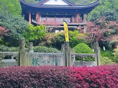 -十八棵（老龙井）御茶园(老龙井店)