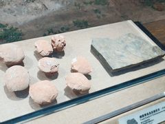-烟台市博物馆