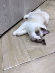 -隅日式美甲美睫專門店