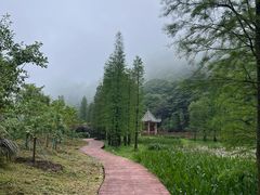 -广州市石门国家森林公园