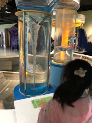 -北京科学中心儿童乐园